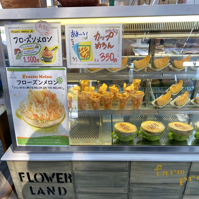 【北海道】美しいお花畑と美味しいメロン🍈