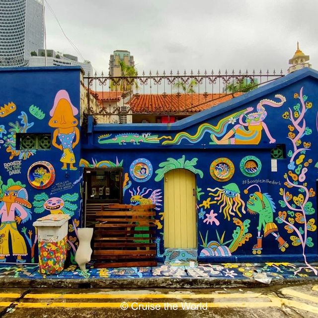 Beautiful Street Art in Arab Street Area