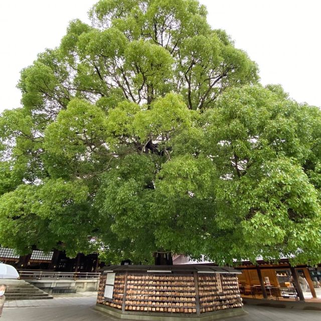 Công viên đền Meiji Jingu