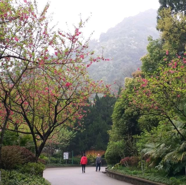 花花🌺🌷🥀🌻🌼🌸公園