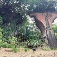 大地震留下來的遺蹟｜龍騰斷橋｜舊山線百年斷橋超絕美