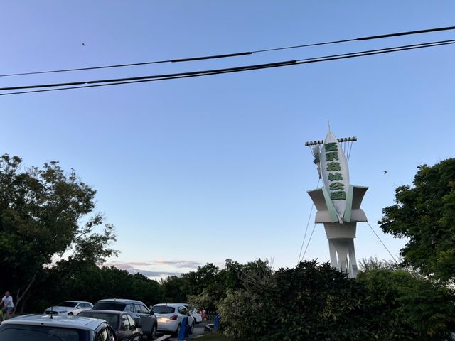 超美的台東森林公園 這裡還有琵琶湖可以賞景色 更可以騎自行車放鬆唷