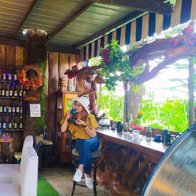 🍷 wine it up at Wine Woods Apo