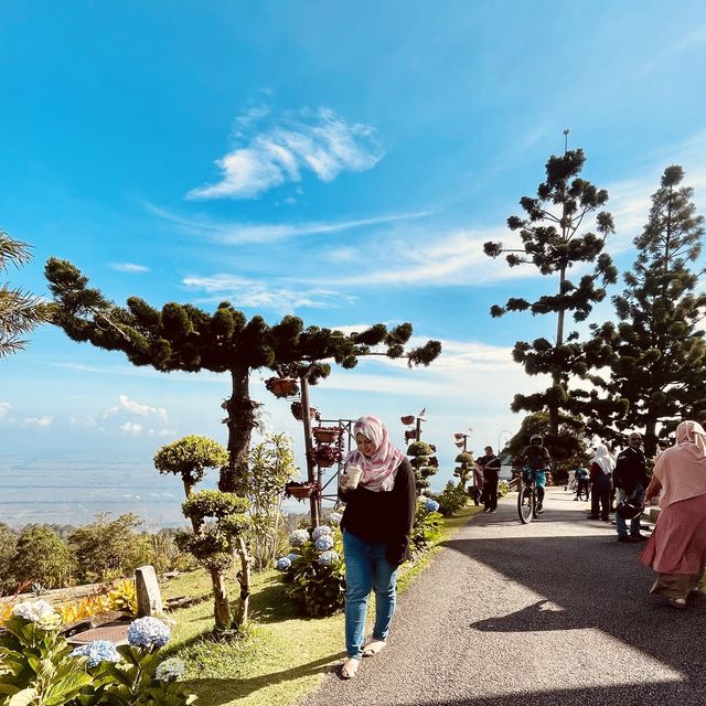 feel the ambience with love