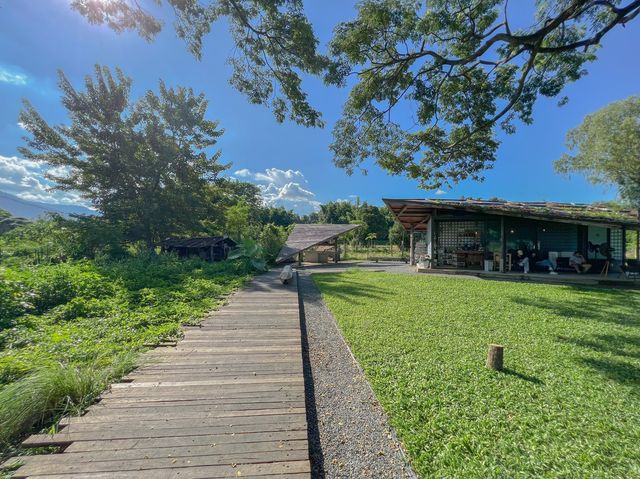 ARTISAN x 123 glamp ค่าเฟใต้ต้นไม้ใหญ่ 