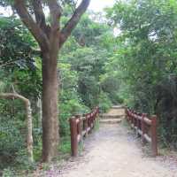 鳳凰山鳳凰徑