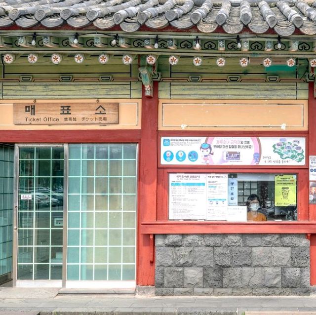 수국이 핀 제주민속촌은 이런 맛이지