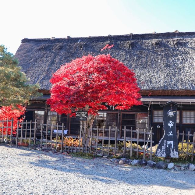 ชิราคาวาโกะ Shirakawa-go เมืองมรดกโลก