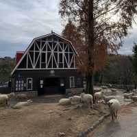 設有自家芝士館｜六甲山牧場