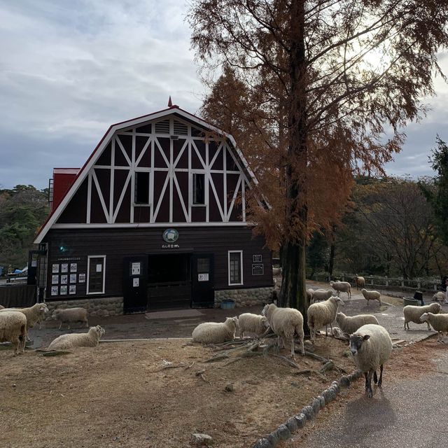 設有自家芝士館｜六甲山牧場