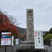 京都紅葉2022 天龍寺の紅葉