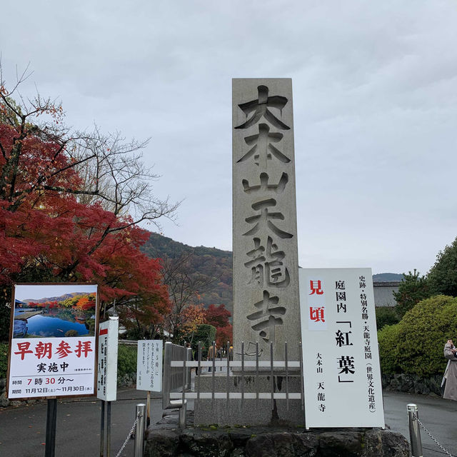 京都紅葉2022 天龍寺の紅葉