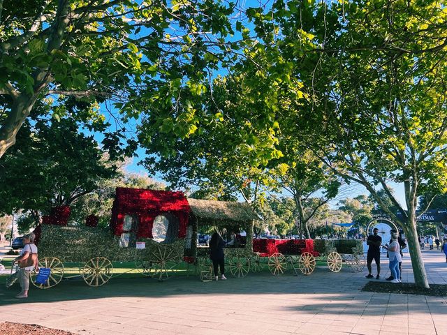 Mandurah Foreshore! More Christmassy Clicks😎