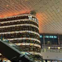 서울 코엑스 별마당 도서관 대형트리 / 라이팅쇼