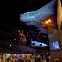Houston Space Center