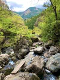 【東京観光】東京都で唯一の「日本の滝百選」