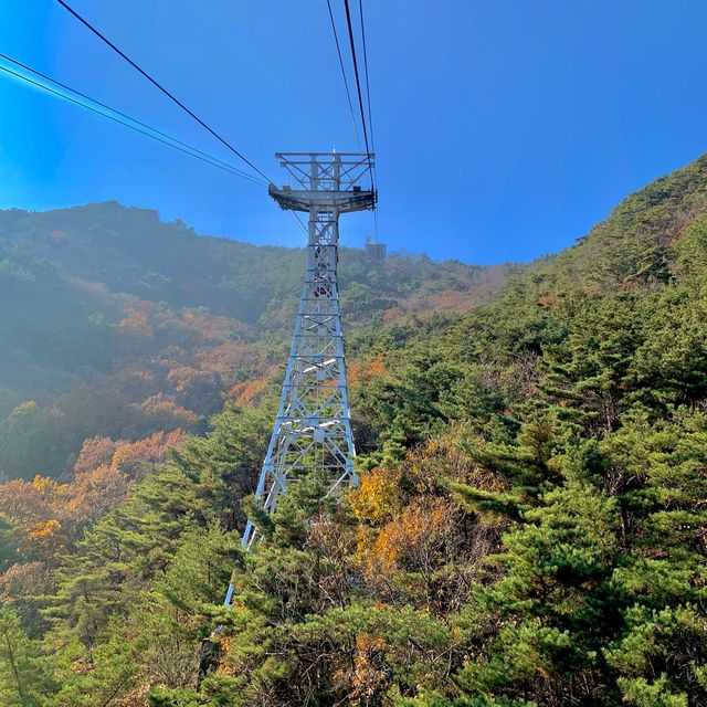 [🇰🇷, 대구] 뷰맛집, 앞산공원 케이블카 🚠