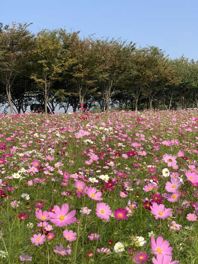 늦가을 초겨울에 떠나는 여행! 국내 서산여행