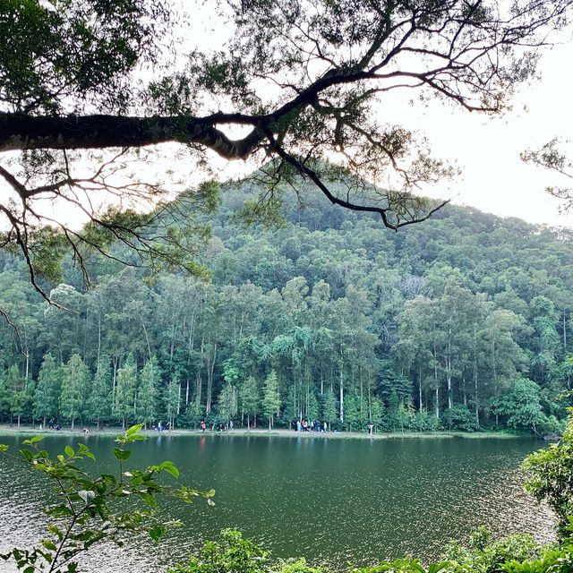 港版輕井澤-流水響水塘🏞
