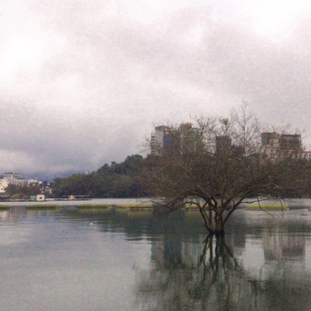 煙雨濛濛日月潭
