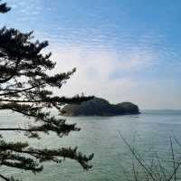 봄이 되면 다시 갈게요 : 천리포 수목원