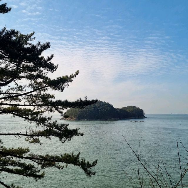 봄이 되면 다시 갈게요 : 천리포 수목원