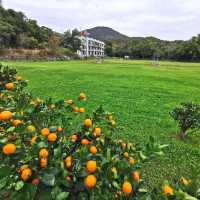 白腊村