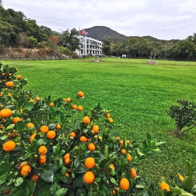 白腊村
