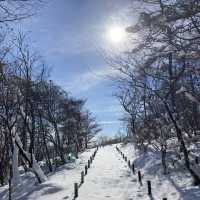 일본의 겨울왕국, 외국인들에게 흔히 알려지지않은 관광지 닛코시