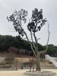 역사와 전통이 느껴지는 화성행궁