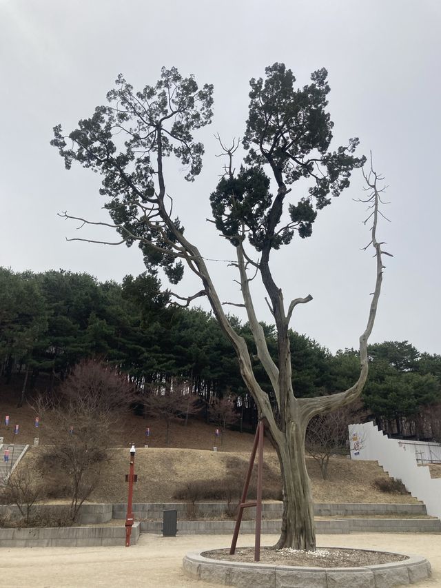 역사와 전통이 느껴지는 화성행궁