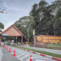 ส่องสัตว์ อุทยานแห่งชาติเขาใหญ่