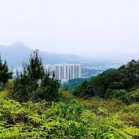藍地水塘 屯門徑 彩虹欄桿