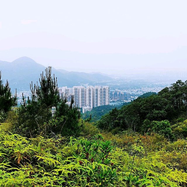 藍地水塘 屯門徑 彩虹欄桿