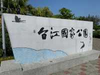 台南經典景點台江國家公園 可以看到黑面琵鷺還可以拍很多網美照