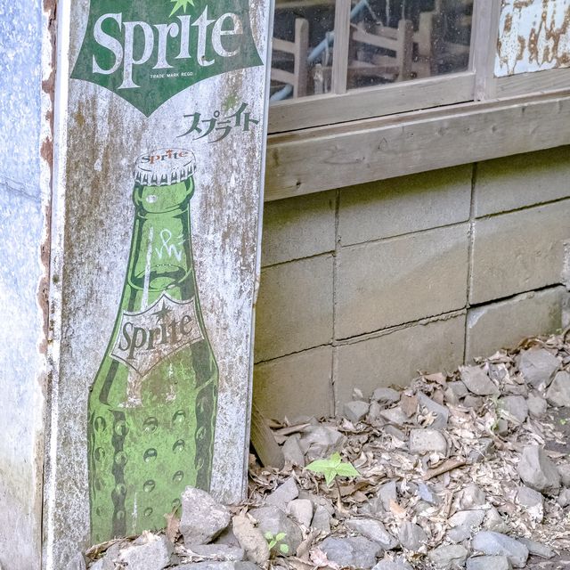 新緑の観音茶屋