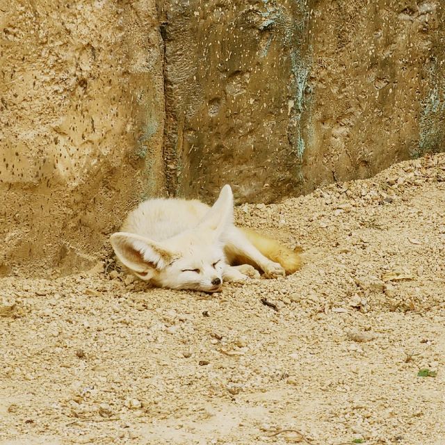 울진 왕피천공원, 아이와 함께 가볼만한 울진여행 장소