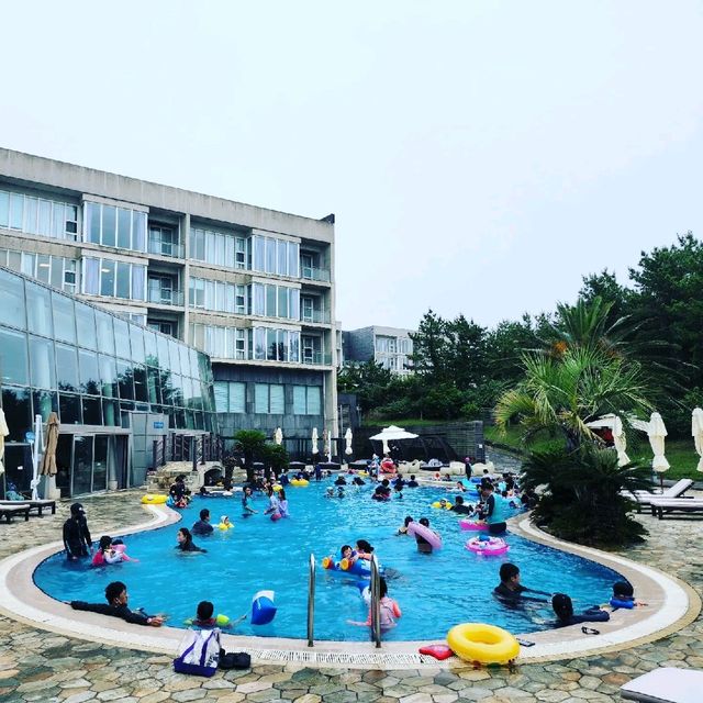 🏨 섭지코지를 품은 리조트, 휘닉스 제주