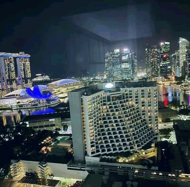Pan Pacific Overlooking the Singapore Skyline