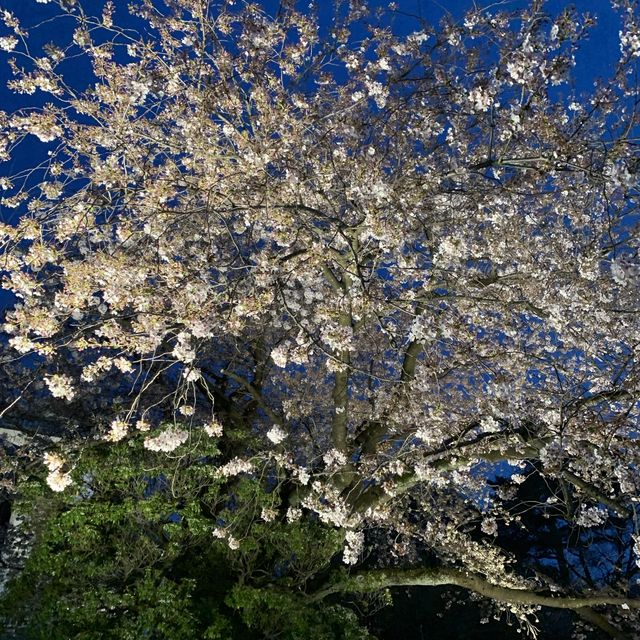 金沢城