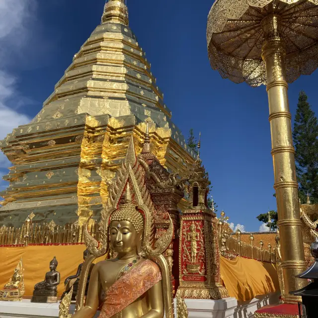 【タイ・チェンマイ】黄金のドーイステープ寺院からチェンマイ市街を一望する
