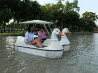ถีบเรือเป็ด เด็ดจริงๆ