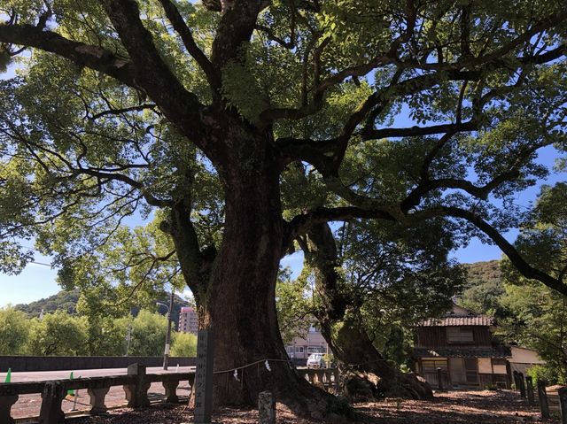 【長崎】九州総守護諫早神社