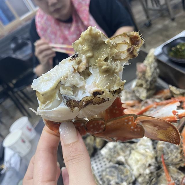 가을에 대하축제만 ❌ 굴단지도 있당❗️