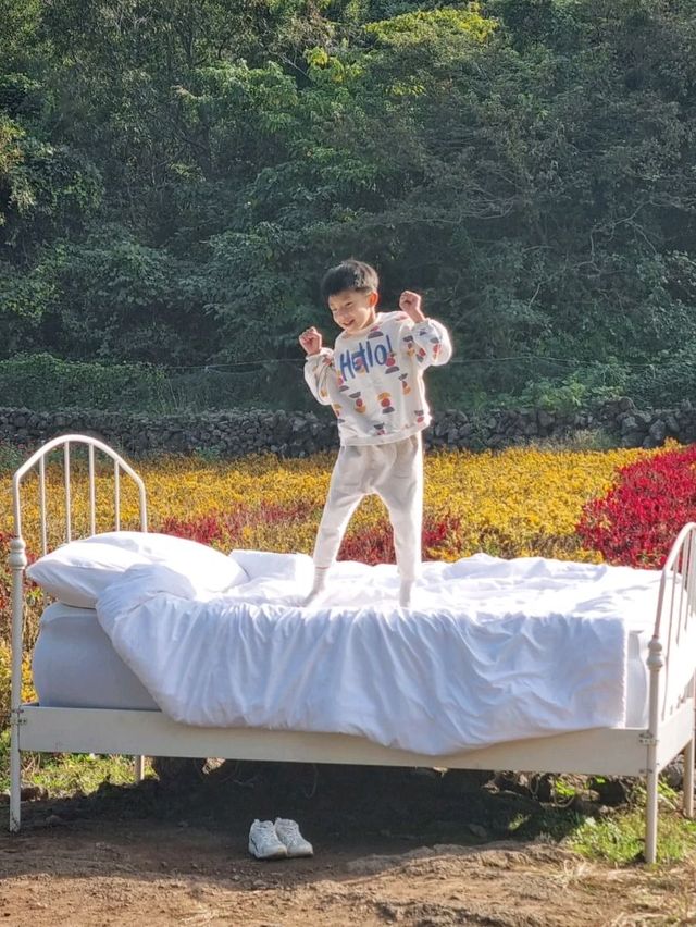 꽃사이 침대, 포토존 가득한 카페 꽃사이 침대, 포토존 가득한 카페