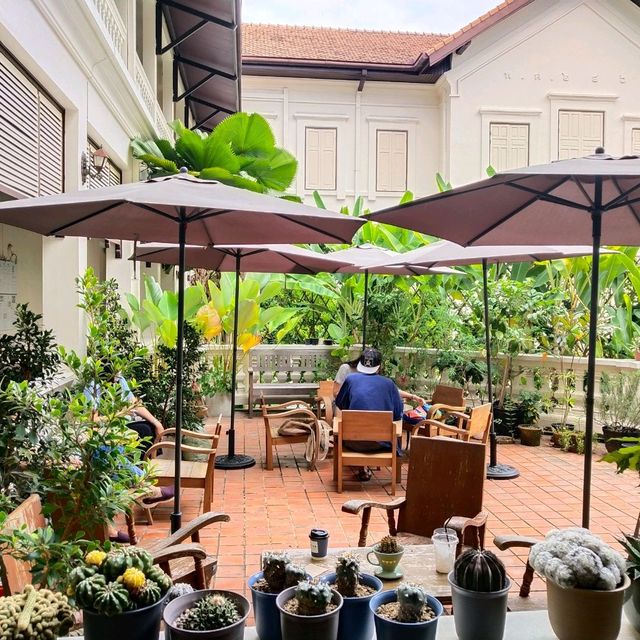 เสพศิลป์ กินกาแฟ...Gallery Drip Coffee Chiang Mai