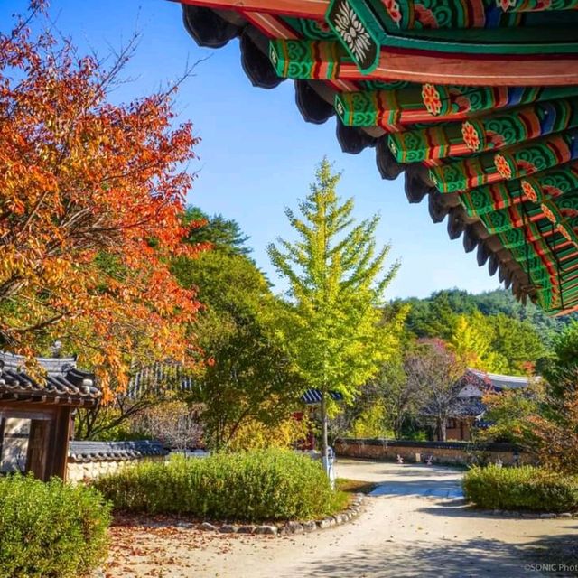조선시대로의 시간여행
