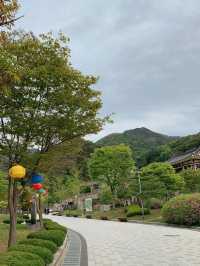 용문사 🌲 은행나무가 유명한 곳