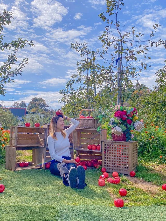 포천 이색 데이트코스 추천 🍎사과깡패
