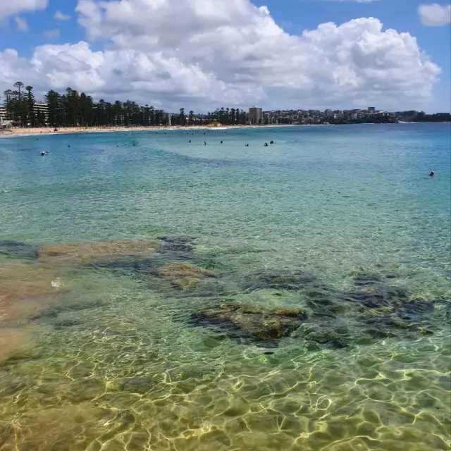 sunny manly beach